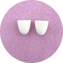 Polished Front Teeth: Set of 2