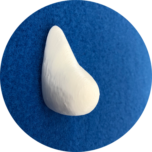 Horace Jr. Nose Form