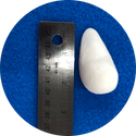 Horace Jr. Nose Form