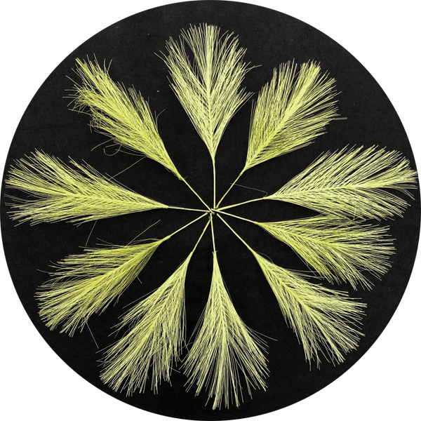 Citron Faux Feathers