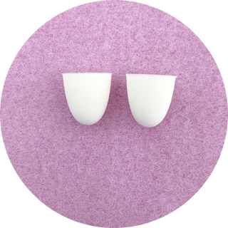 Polished Front Teeth: Set of 2