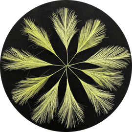Citron Faux Feathers