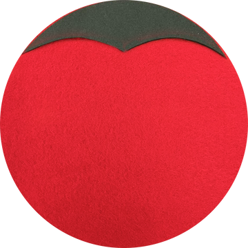 Red Felt 18" x 36"