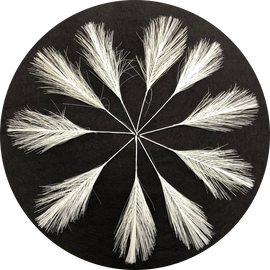 White Faux Feathers